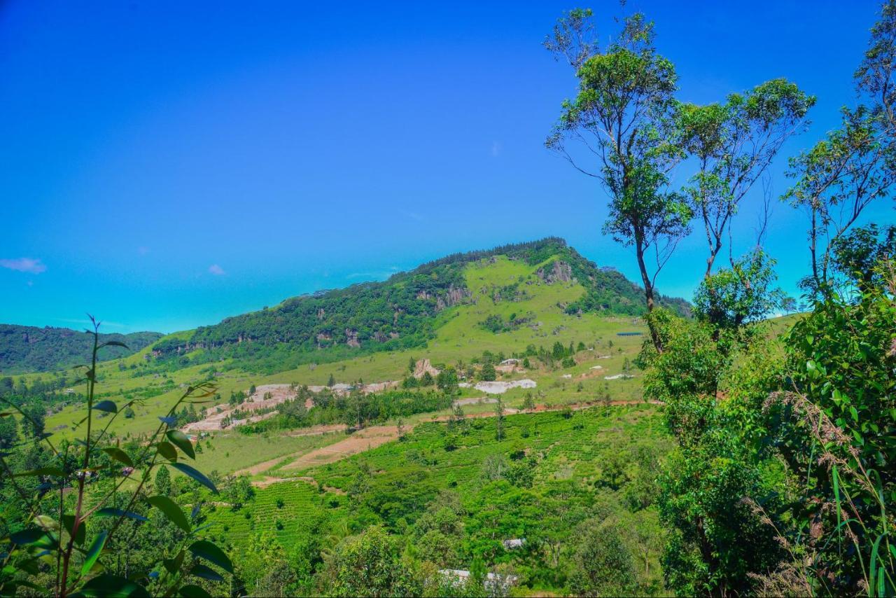 Lak Sewana Home Stay Kandy Exterior photo