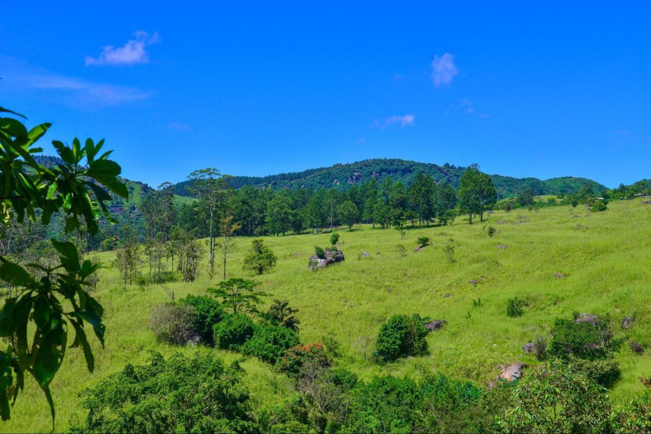 Lak Sewana Home Stay Kandy Exterior photo