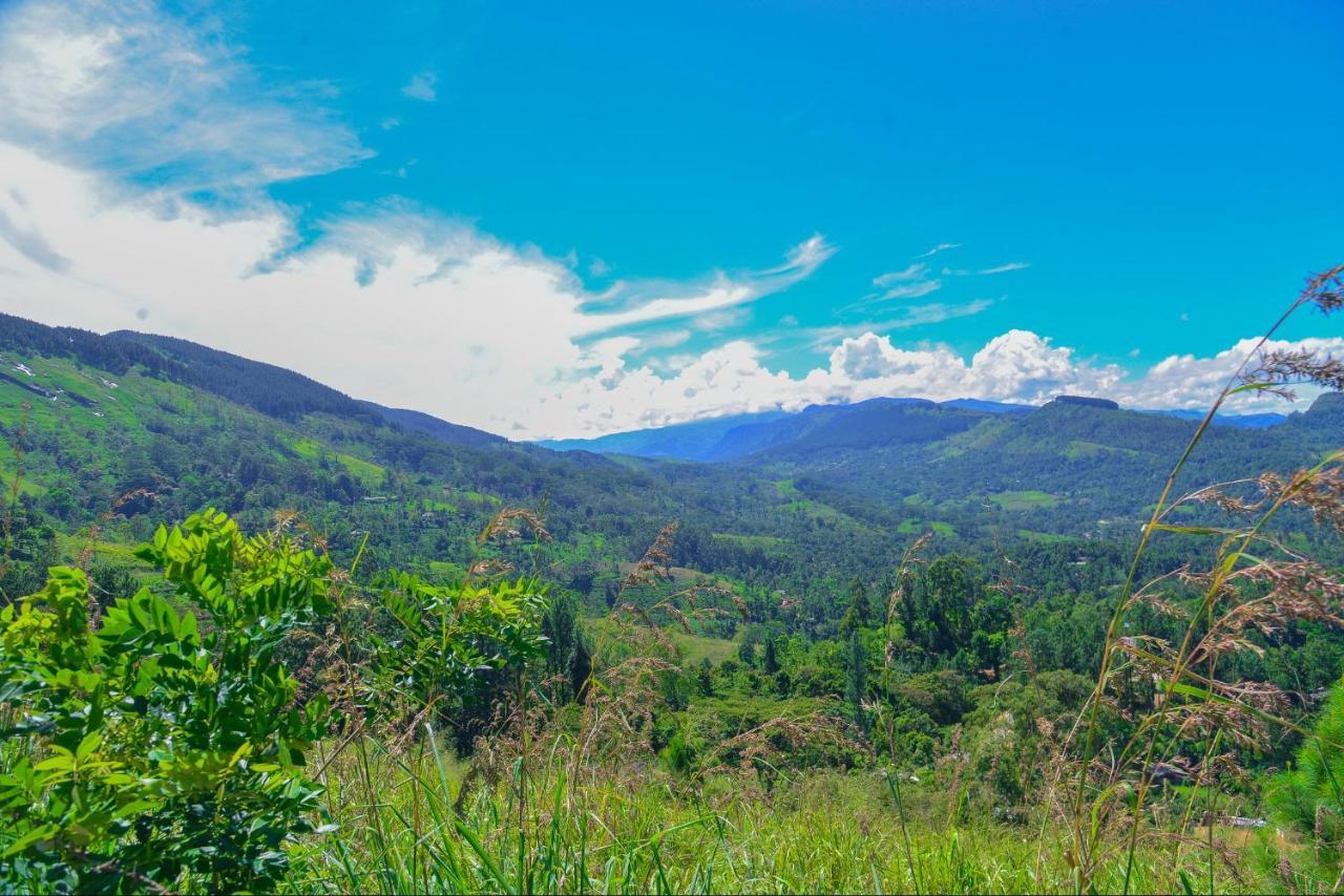 Lak Sewana Home Stay Kandy Exterior photo