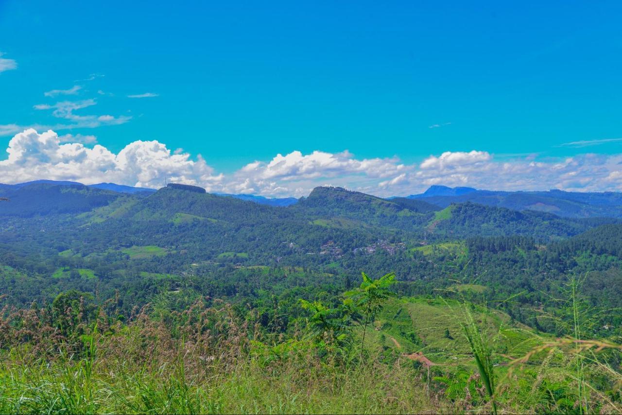 Lak Sewana Home Stay Kandy Exterior photo