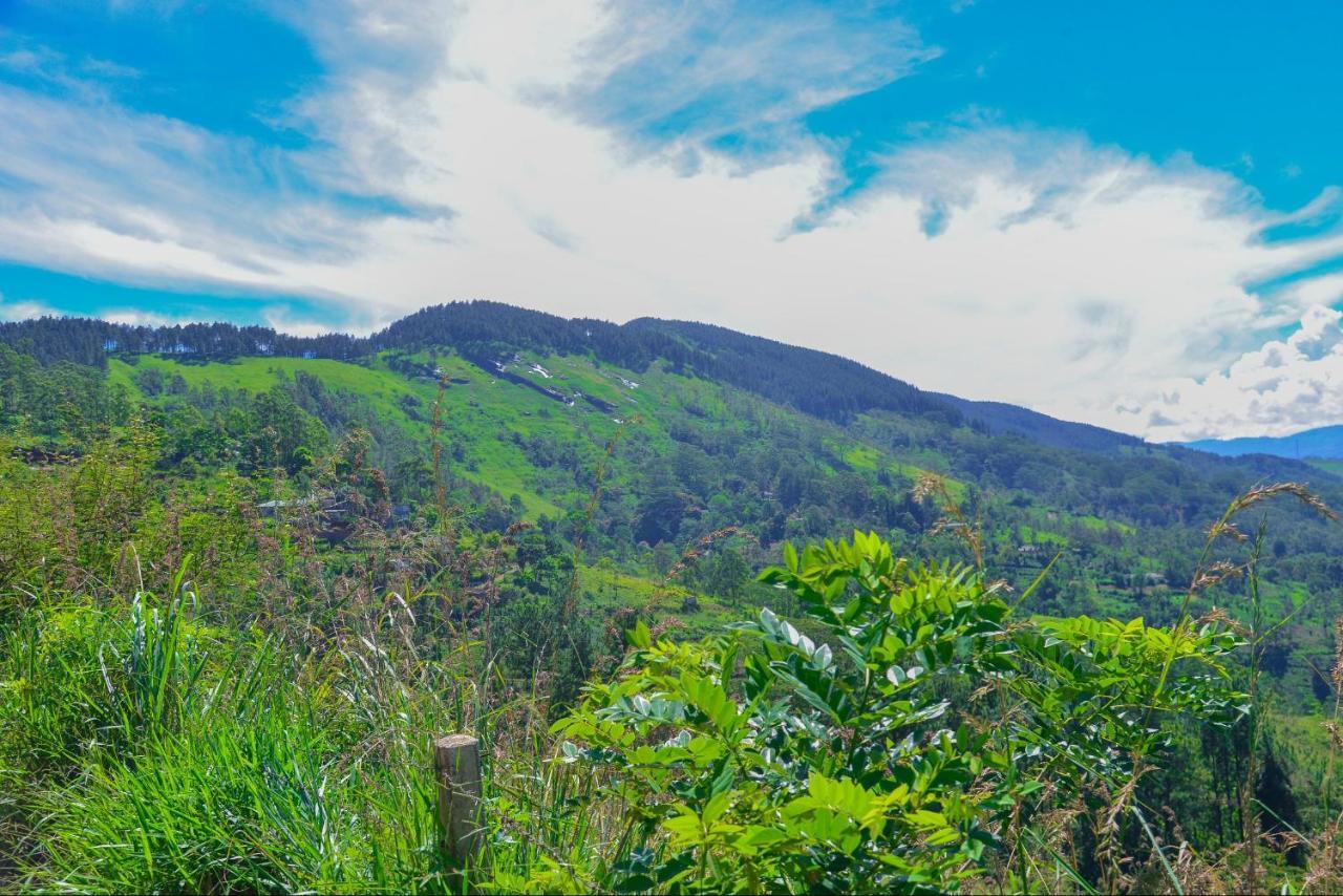 Lak Sewana Home Stay Kandy Exterior photo