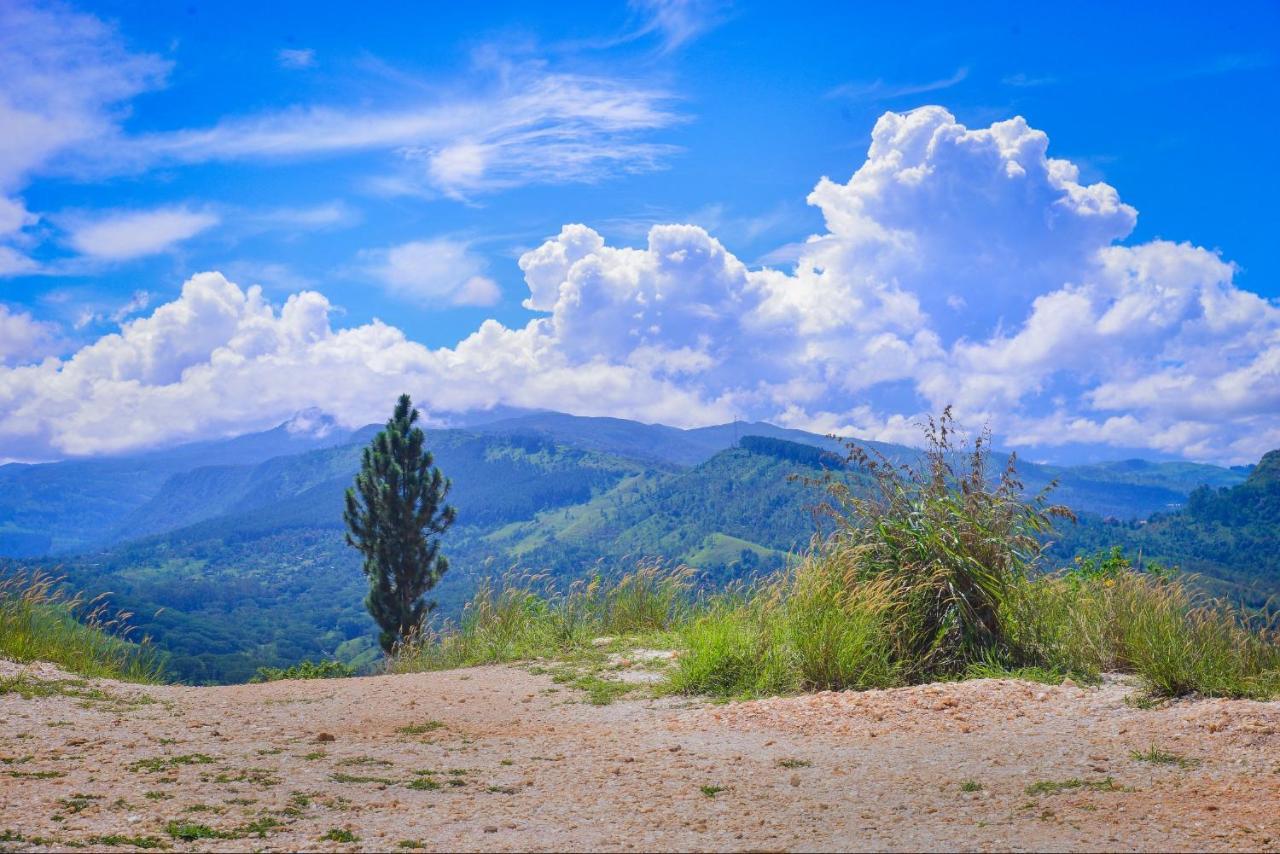 Lak Sewana Home Stay Kandy Exterior photo