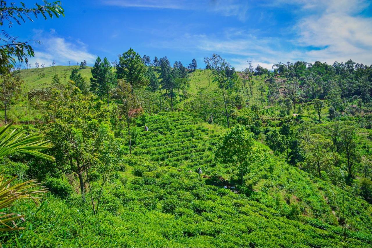 Lak Sewana Home Stay Kandy Exterior photo