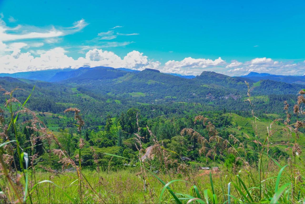 Lak Sewana Home Stay Kandy Exterior photo